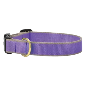 Collar | Purple & Gray